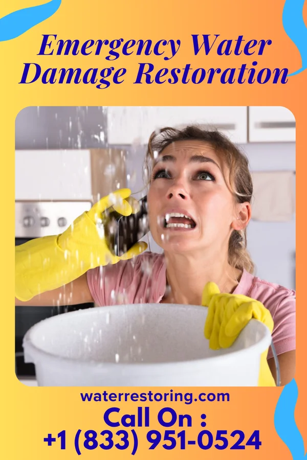 Emergency Water Damage Restoration in Dunwoody, GA
