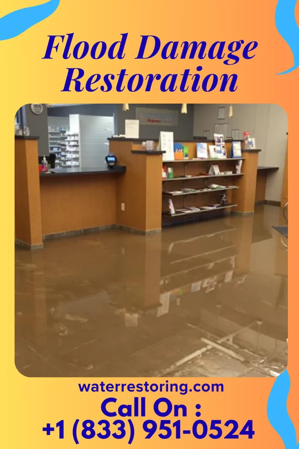 Flood Damage Restoration in Dunwoody, GA
