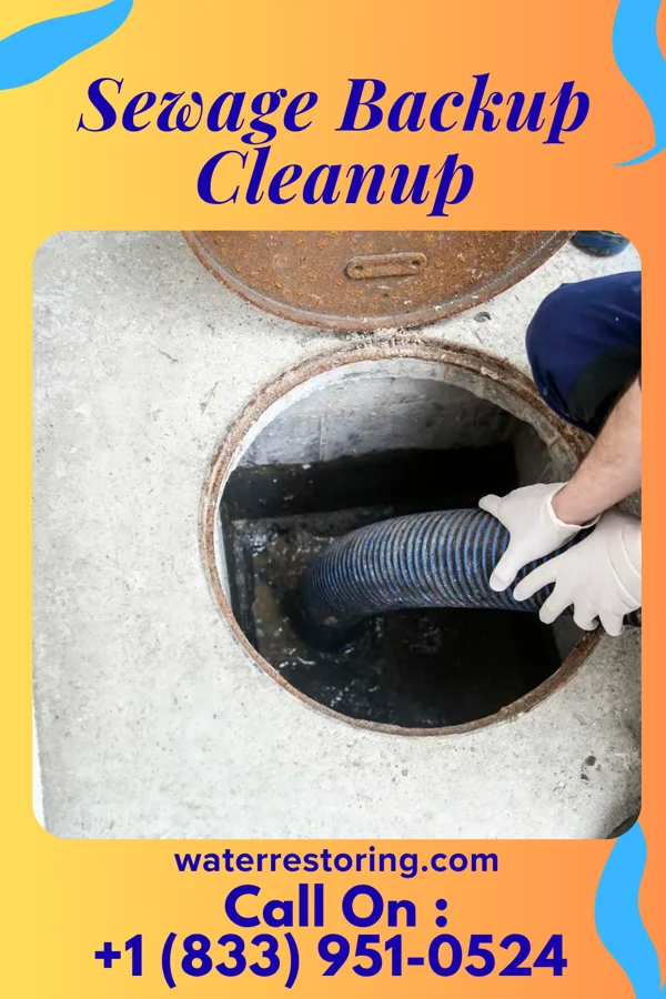 Sewage Backup Cleanup in Dunwoody, GA