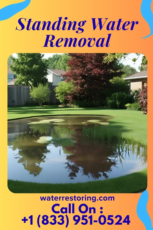 Standing Water Removal in Dunwoody, GA